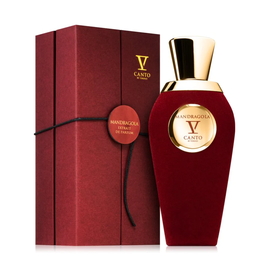 V Canto Mandragola